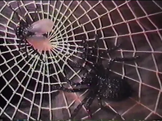 Fade In (1984)