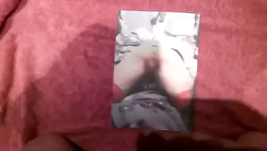Cum haraç