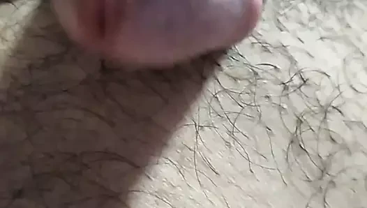 Cock