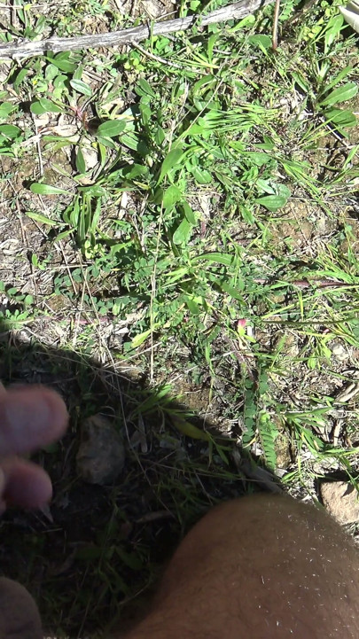 OMG!!! Real voyeur runs away after I start pissing from my hairy pussy | Clip 1