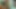 Indian daughter in law American Stepsister Romantic Video By -Snapchatenglish