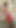「セクシーな赤い女性用ランジェリーを着た男の子」からの魅惑的な瞬間
