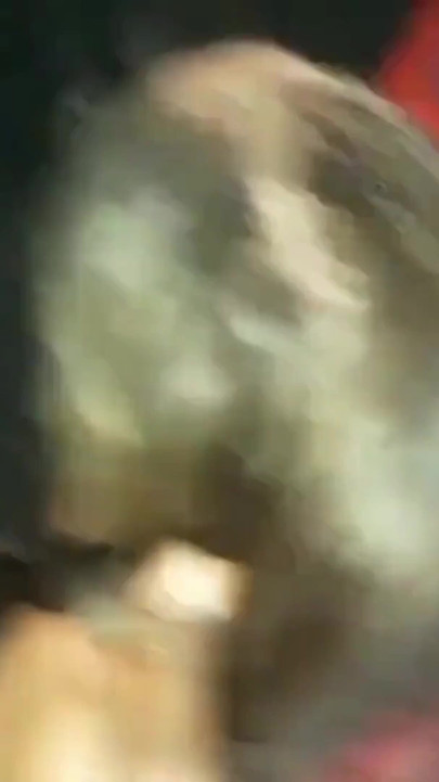 Bbc hardcore de quatro martelando gemendo gritando orgasmos