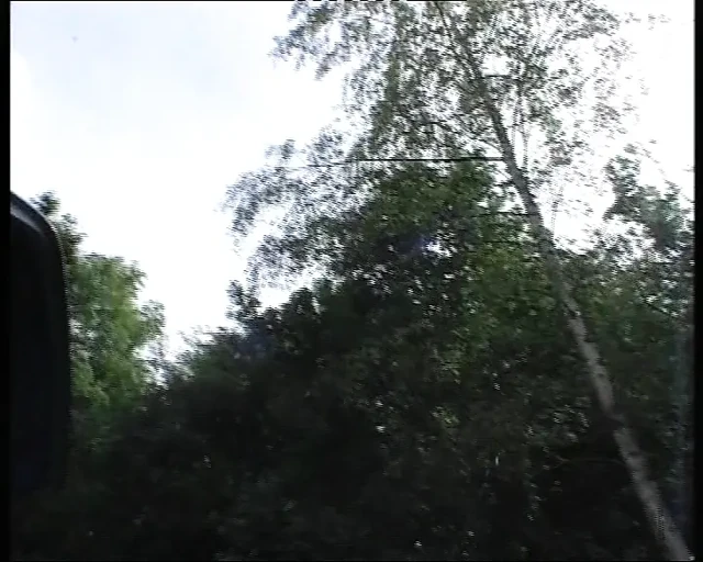 Perfcet 金发德国娃娃在她的汽车后备箱在树林里性交