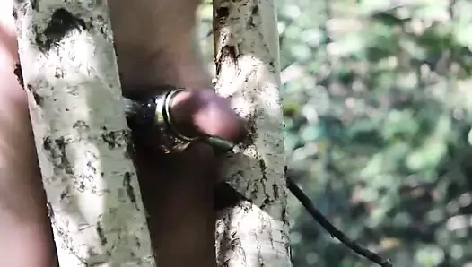 iyi mastürbasyon içinde orman 3