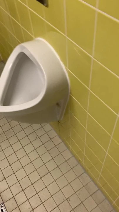 Geil op het werk