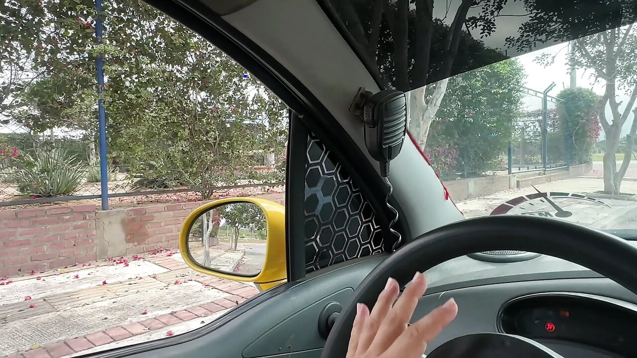 美しい女の子が路上に立ち尽くし、私は彼女を家まで送る手助けを申し出ます