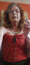 Pregled videozapisa