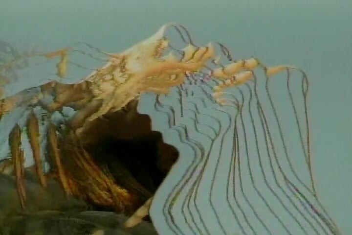 Gorgeous babe takes a big load of cum in her mouth after outdoor fuck