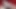 FEMOUT XXX - Compilation Updates 9th Dec to 13th Dec '24