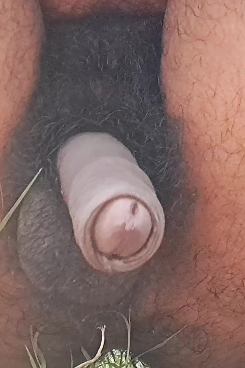 Meu vídeo de compilação quente nos campos