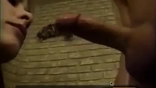 Sürtük amcığını ve götünü yarakla siktiriyor
