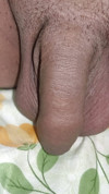 Pratinjau video