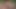 FKK sex nude beach orgy
