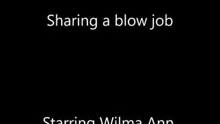 Sharing a blowjob