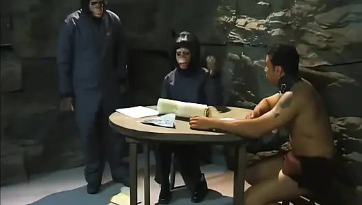 Gefangener deines samtigen Arsches