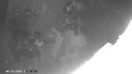 Aku selingkuh di dapur dengan istri bos