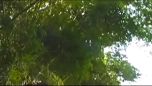 Gisele Prodo and her girlfriend fuck each other in the jungle