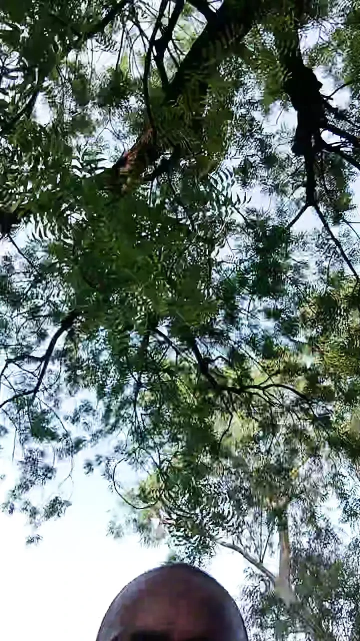 Solo en el parque paseo cachondo y masturbarse 💦