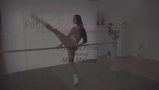 Flexibles Formular - S1: e9