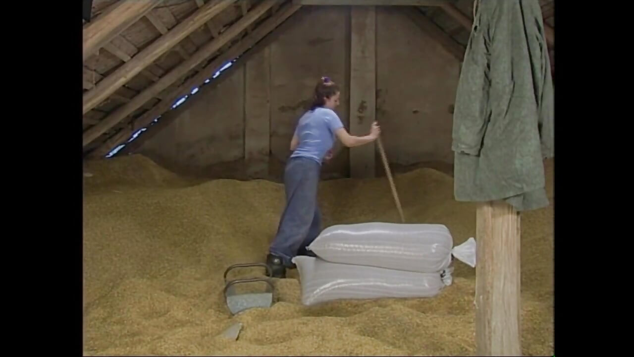 Piękna młoda napalona była zadowolona, gdy ssała wielkiego kutasa przed ruchanie.