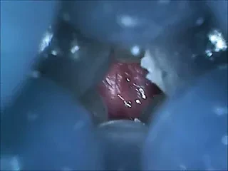 Internal Fleshlight