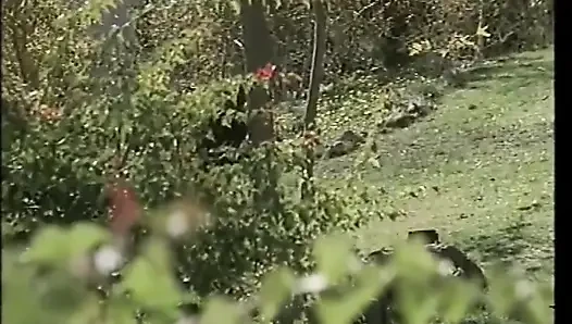 Heiße retro-vollbusige MILF mit behaarter muschi gefickt und von schwarzem monster-schwanz im mund abspritzen