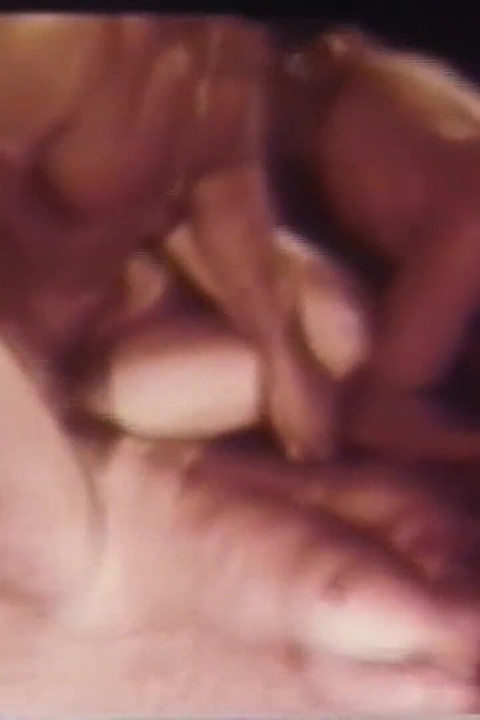 Casă poftioasă și fierbă (Partea 2)