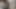 superb head