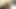Un cuplu , ce bine intra