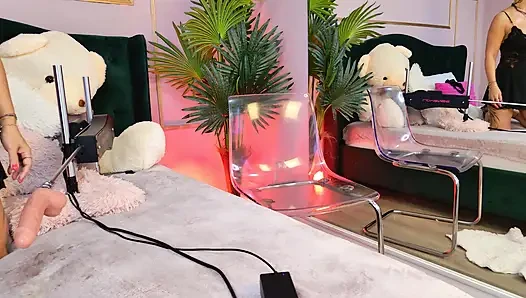 The Girl Next Door and the Summer Heat