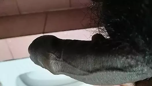 Con cu của tôi nhận được
