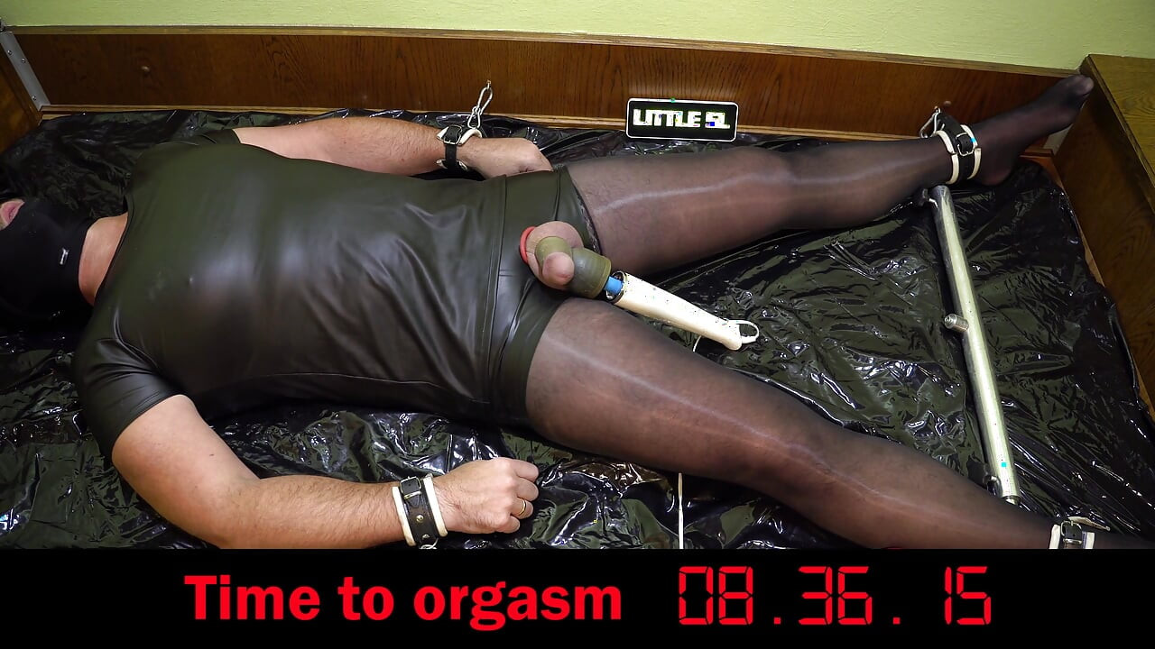 Sperm Donor Is Milked by Ai