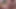 gabriella tchekan cumpilation