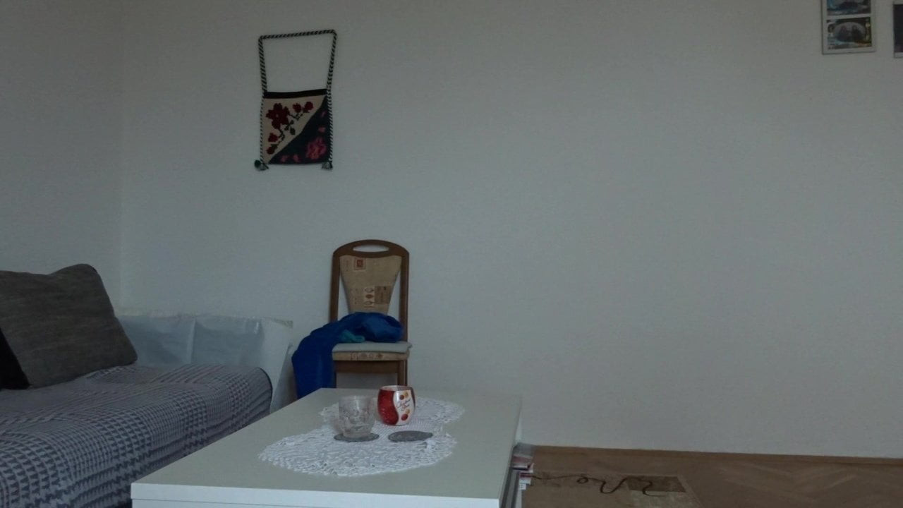 Anal mirko # 1