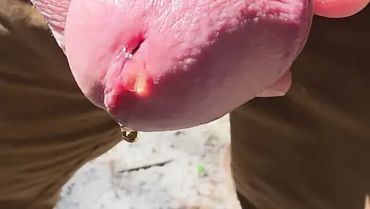 Güneşli gün sidik videosu