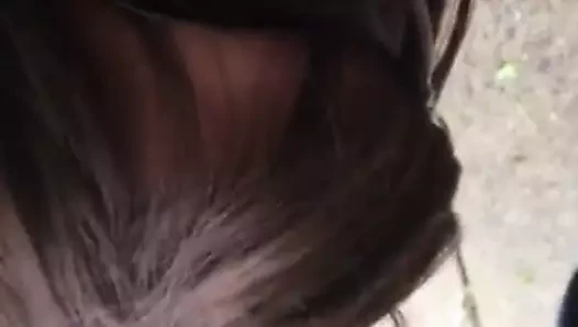açık cd oral seks