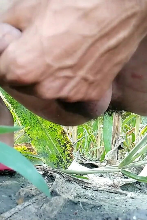 아침에 자지 자위와 사정