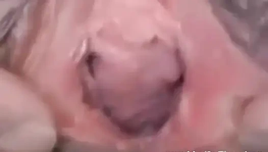 Inked and Pierced - Pierced and tattooed Alt and Emo babes