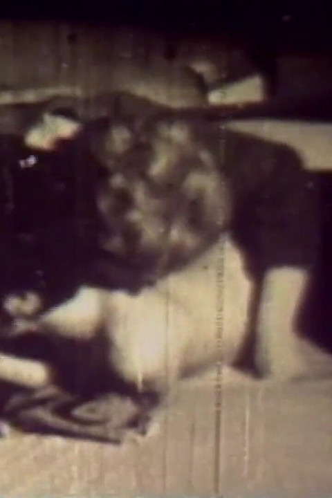 Daddy, Make Me the Delicious One