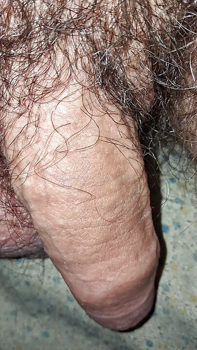 Soft to hard cock in close-up