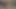 O benim horoz berbat iken onu kedi okşama - karolinaorgasm
