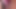 毎晩ストリーミング