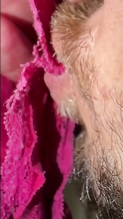 濡れたパンティで報酬を得た。妻がすごく濡れた状態でオナニーした後に着ているパンティを私にくれました