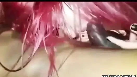 Cuckold archive - größte videosammlung von cuckold-videos