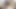 Ateşten kurtulana kadar üvey kardeşimin erkek arkadaşını beceririm - ispanyolca porno