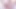 Little Paradise Cumshot Compilation