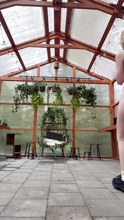 Setting up the Green House