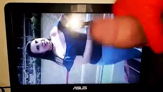 Latince istek haraç