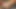Busty Tans Fucks Her Anus With a Dildo